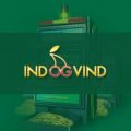 Ind og Vind casino logo