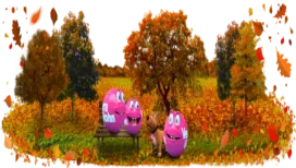 Oktober bonusser på Vera&John Casino hver søndag!