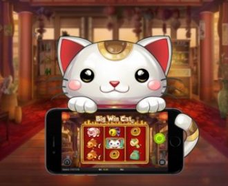 Nordicbet Casino lancerer Big Win Cat med cashback bonusser