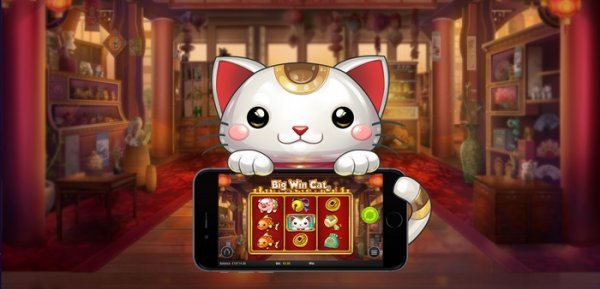 Nordicbet Casino lancerer Big Win Cat med cashback bonusser
