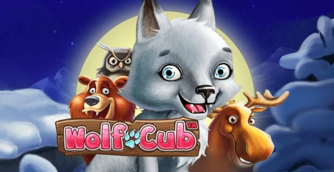 Wolf Cub