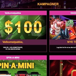 Lucky Niki Casino bonus kampagner