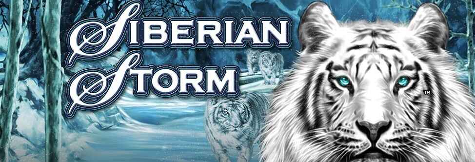 Siberian Storm Banner med tigre og et snelandskab