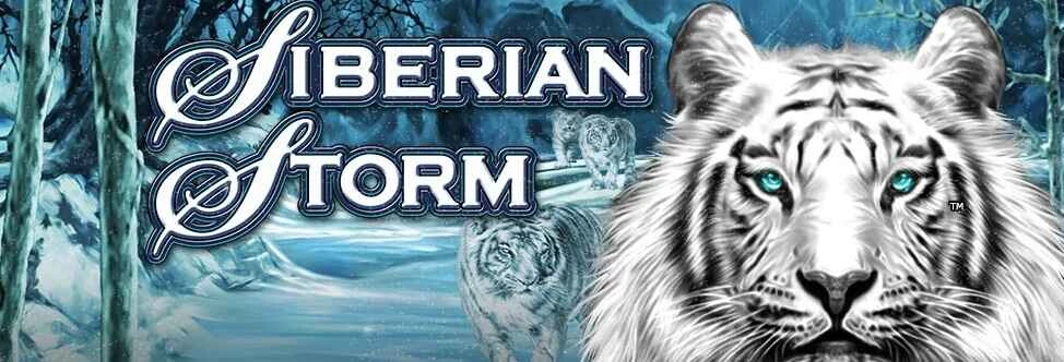 Siberian Storm Banner med tigre og et snelandskab