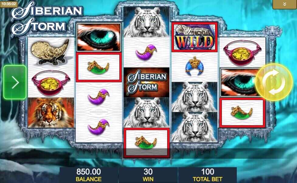 Siberian Storm Screenshot af gameplay casino slotspil med tigre og symboler