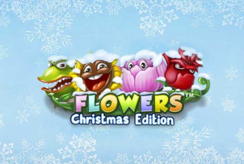Flowers Christmas Edition Banner med Blomster og Bogstaver