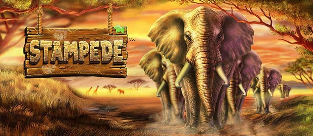 Stampede casinospil hos Spillehallen online casino