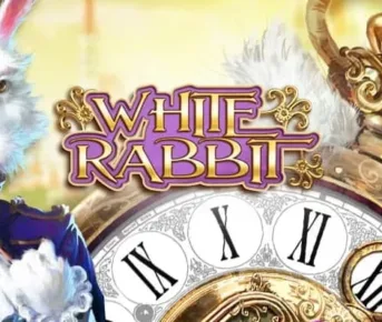 Den hvide kanin på White Rabbit banner