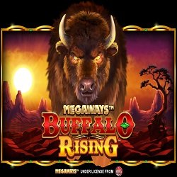 Buffalo Rising