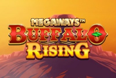 Buffalo Rising Banner