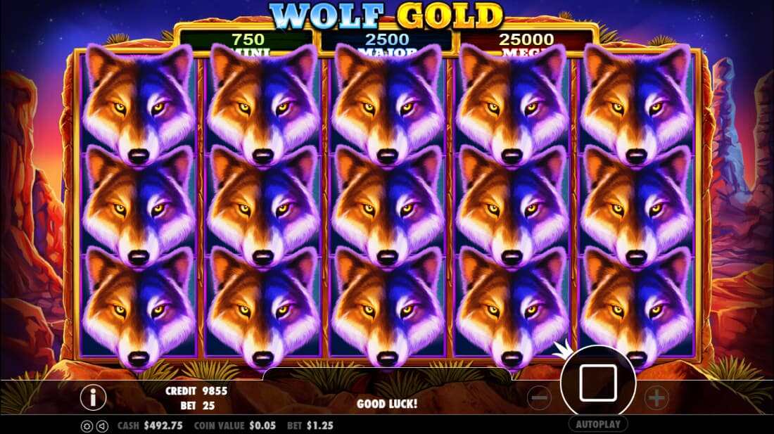 Wolf Gold Gameplay Pragmatic Play Bonus Screenshot Gameplay