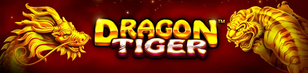 Dragon Tiger Banner