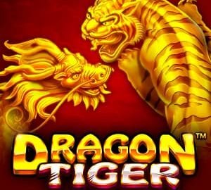 Dragon Tiger Logo