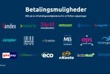 Turbonino Betalingsmuligheder