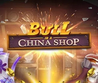 Bull in a China Shop Banner