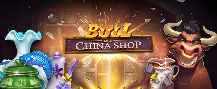 Bull in a China Shop Banner
