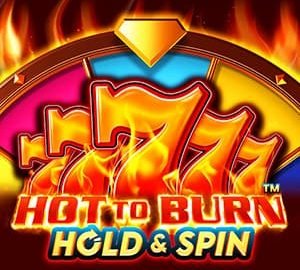 Hot to Burn Hold and Spin Logo