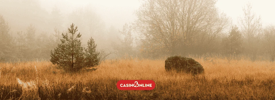 Casino Online DK Casinonyhed november casinobonusser hos online casinoer med dansk licens