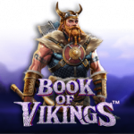 book of vikings