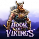 book of vikings