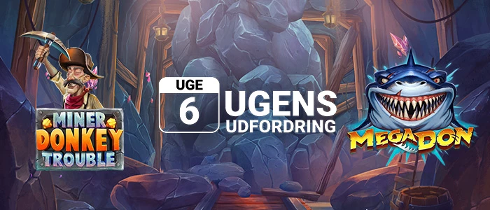 Ugens udfordring uge6 