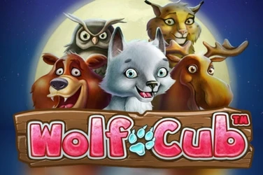Wolf Cub Image
