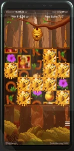 Wild Swarm Push Gaming