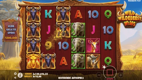 Wild Wildeveest Wins Gameplay Pragmatic Play