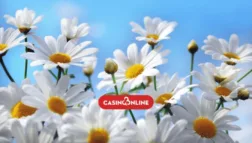 CasinoOnline DK sommer casino spil og spilleautomater til sommerferien