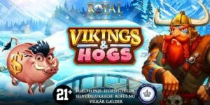 Gold Luck Vikings and Hogs Spilleautomat banner