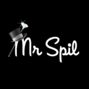Logo billede for Mr Spil Casino